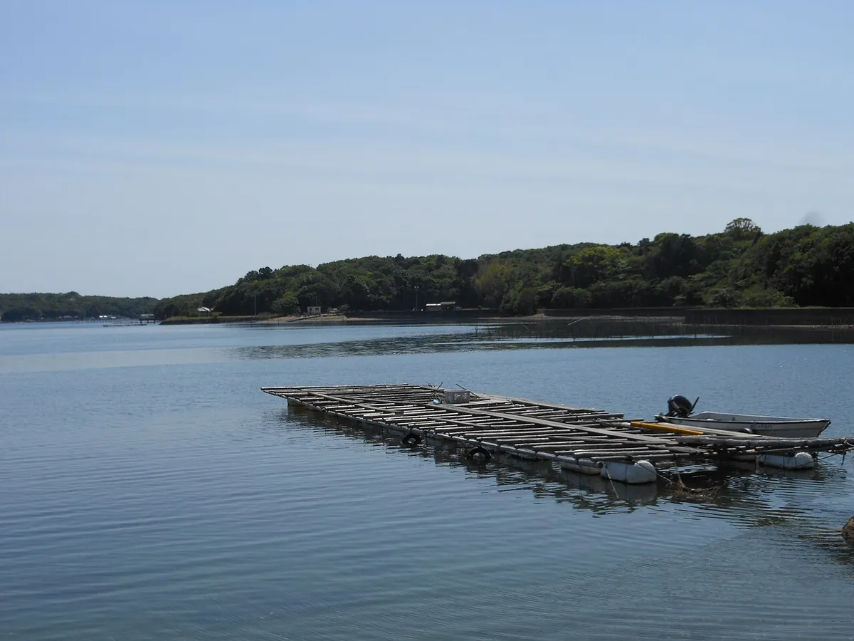 Floating pearl farm rafts on a calm bay with wooded hills behind
